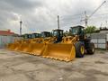 Фронтальный погрузчик SEM 655D